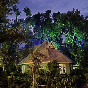  Lodge Bak A Yaad Jamaica